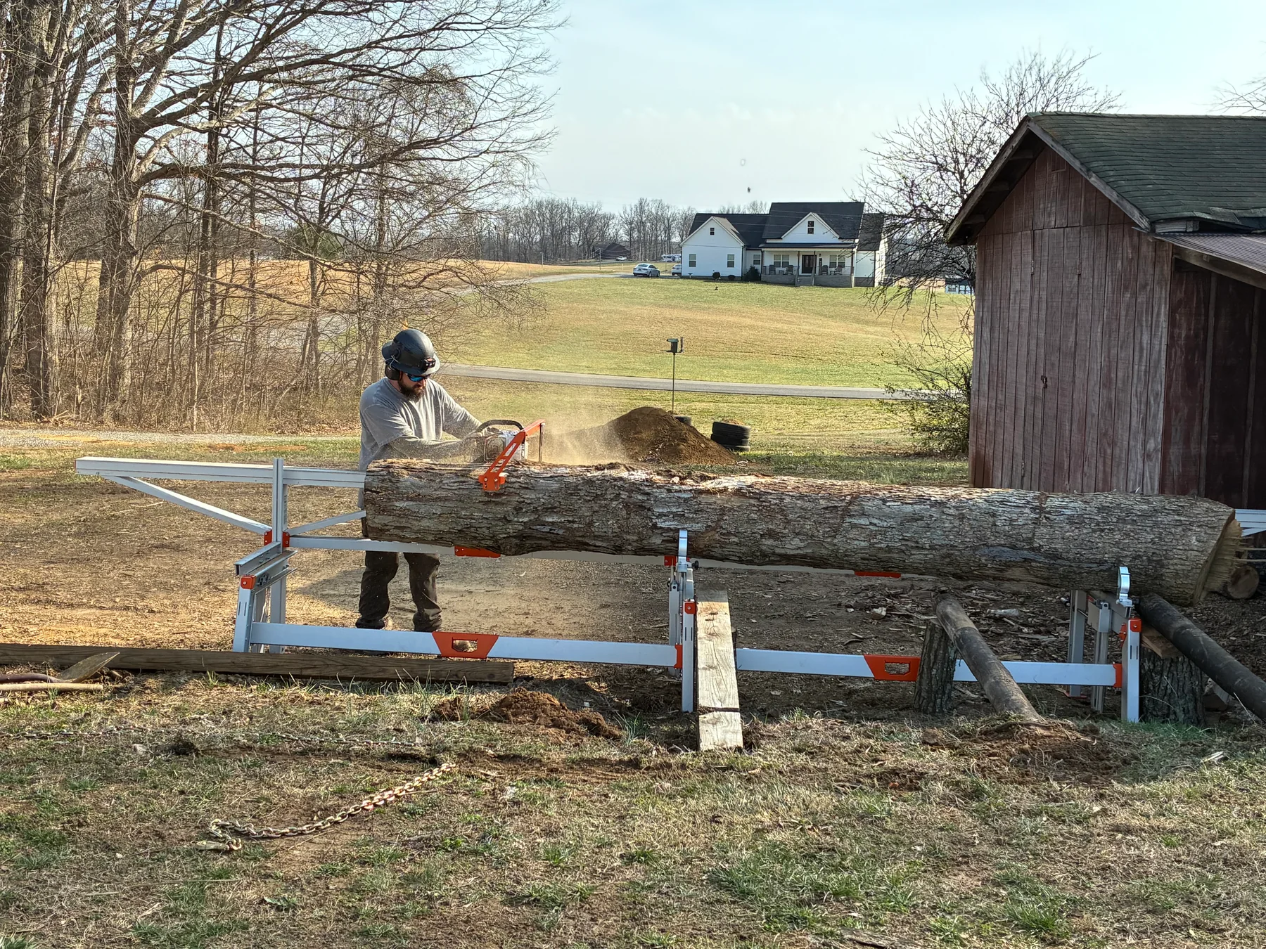 Operator milling a walnut log on a portable sawmill